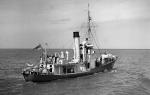 HMS Okapi