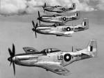 RAAF Mustangs