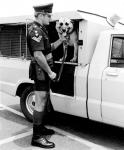Police Dog Handler