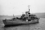 HMS CLEMATIS  K 36