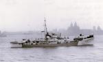 HMS COLDSTREAMER T337