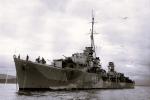 HMS ROEBUCK H95