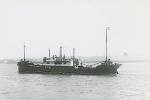 BOTNE