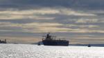 AUSTRALIS