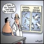 SPERM COUNT / JOKE