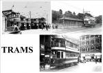 TRAMS