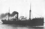 Amassia