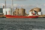 DUTCH MARINER