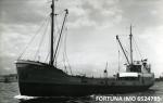 FORTUNA