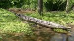 Dugout Canoe