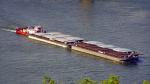 Danube barges