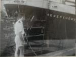 mv MENESTHEUS collision damage.