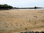 Bude Beach Remembrance Sunday