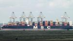 MSC ZOE