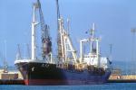 seiyo maru