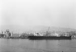 Genoa