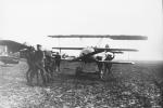 Horse pulling aircraft