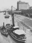 Rhine tug