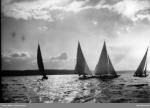 Pleasure boats in Oslo