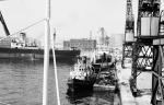 Tug, ferry, freighter