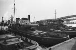 Tugs in Hamburg