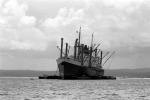 Dutch C3-S-A5 type vessel at anchor