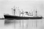 AFRIC 1950