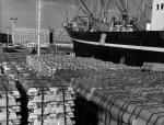 Export at Geelong