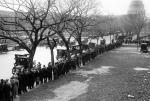 Automobile License Line