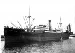BARON HAIG