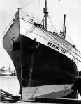 BRISBANE STAR