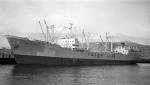 BRONNOY 1956