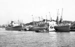 CASTLE Liners