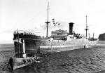 CELTIC MONARCH
