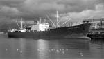 CHILEAN REEFER