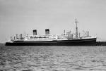 DOMINION MONARCH