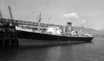 DUNEDIN STAR