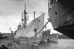 Durban Ships