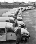 Dutch Auto Association