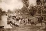 Murray River Ferry