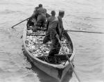 Fishing Boat