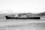 HAZELMOOR
