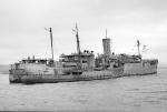 HMS Ariguani + Samsonia