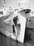 HMS Pink Repainting Anchor