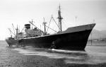 HOBART STAR