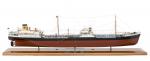 Horomya Model