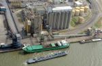 Loading Grain at Antwerp