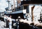 Loading Sugar at Romana