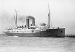 LOONGANA