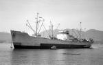 MANGARELLA